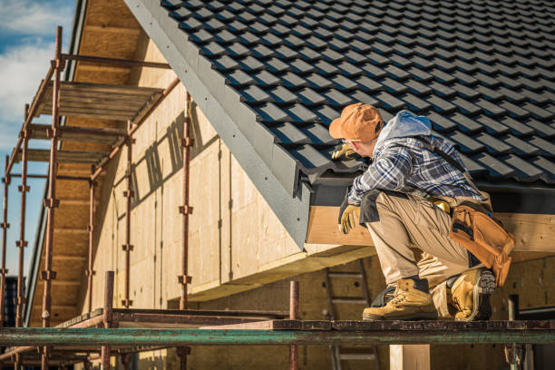 Roof Gutter Cleaning