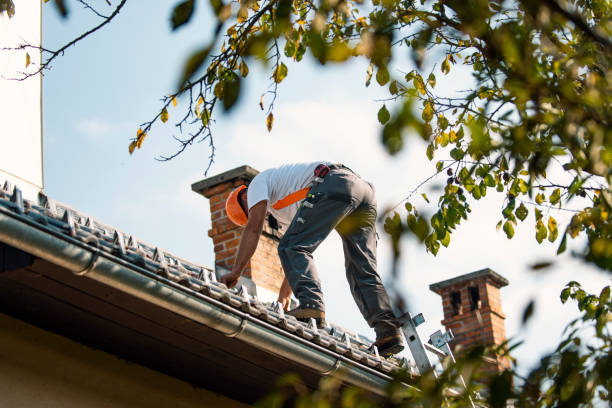 Best Commercial Roofing Services  in Campbell, MO
