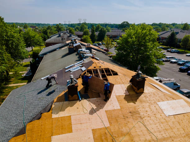 Best Metal Roofing Contractor  in Campbell, MO