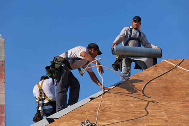 Best Storm Damage Roof Repair  in Campbell, MO
