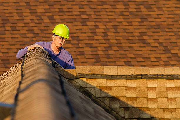 Best Metal Roofing Contractor  in Campbell, MO